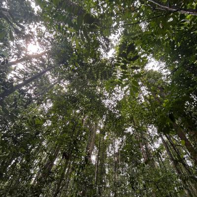 Whatsapp Image 2024 07 31 At 12.13.22 E61115ad