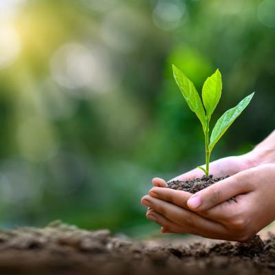 පරිසර කමිටුව 